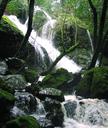 The final upper falls are a wild torrent on a rainy, winter day.